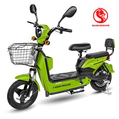 Electric Bike (E-Bike)