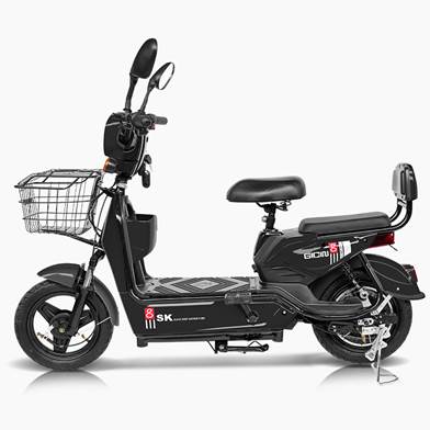 Electric Bike (E-Bike)